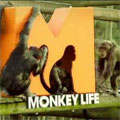 Monkey Life