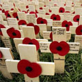 Royal British Legion Festival of Remembrance