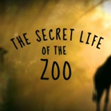 The Secret Life of the Zoo