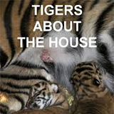 Tigers about the House