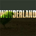 Wonderland